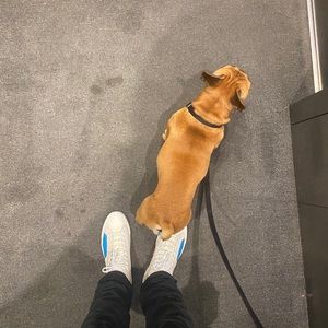 Meet your Posher, Dave